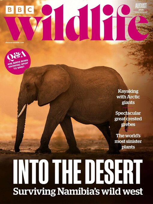 Cover image for BBC Wildlife Magazine